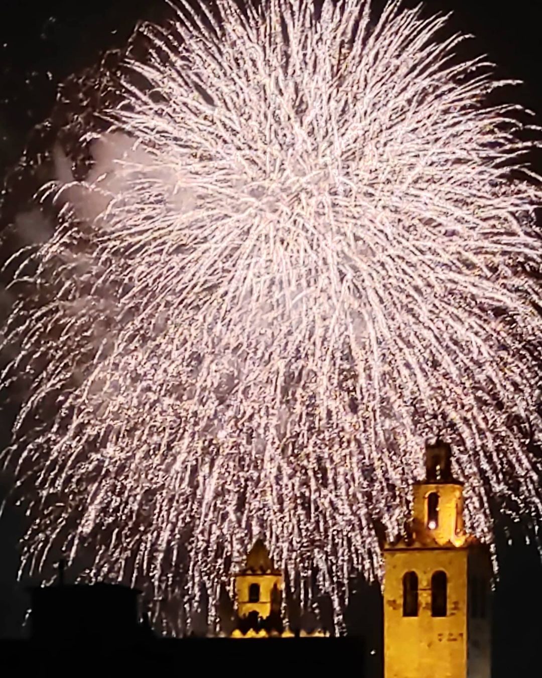 'Final de festa! Fins l'any que ve' - feta a Sant Cugat. FOTO: @dariusbruna