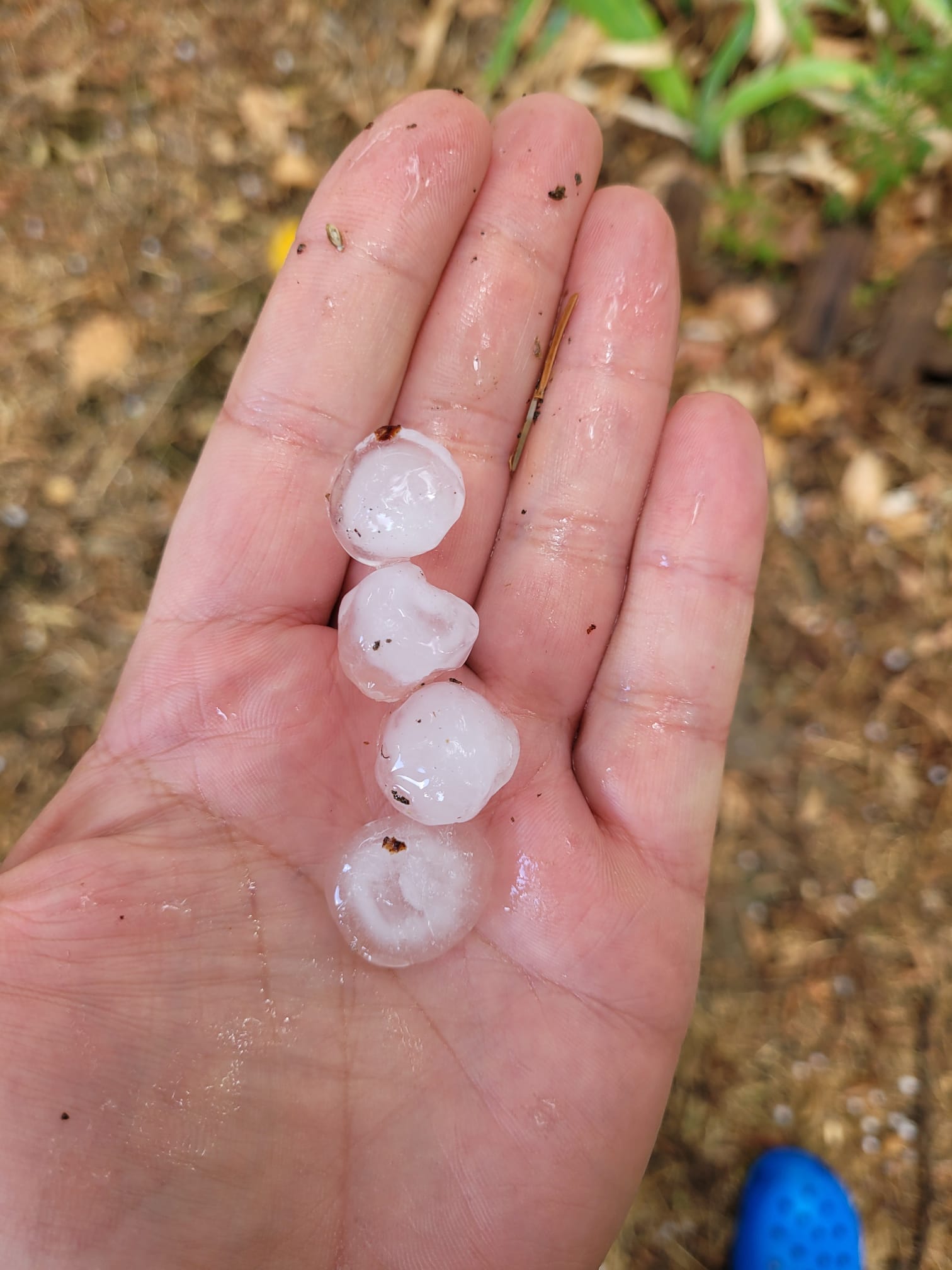 La tempesta ha deixat pedra a Sant Cugat. FOTO: Manel Cervantes