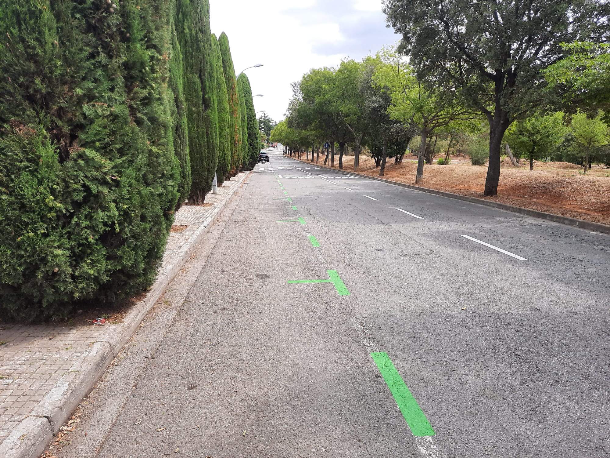 Més àrea verda a la zona de l'Eixample de Sant Cugat. FOTO: TOT Sant Cugat