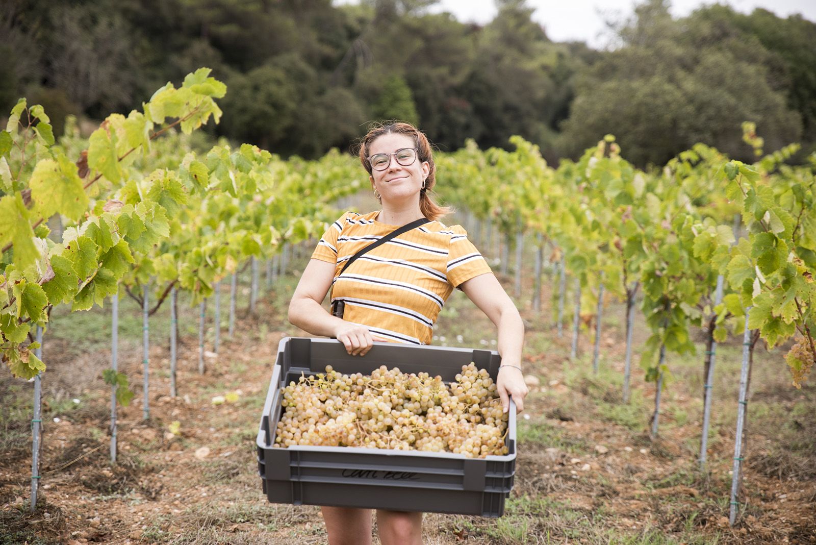 Clàudia Bell fent la verema. Foto: Bernat Millet.