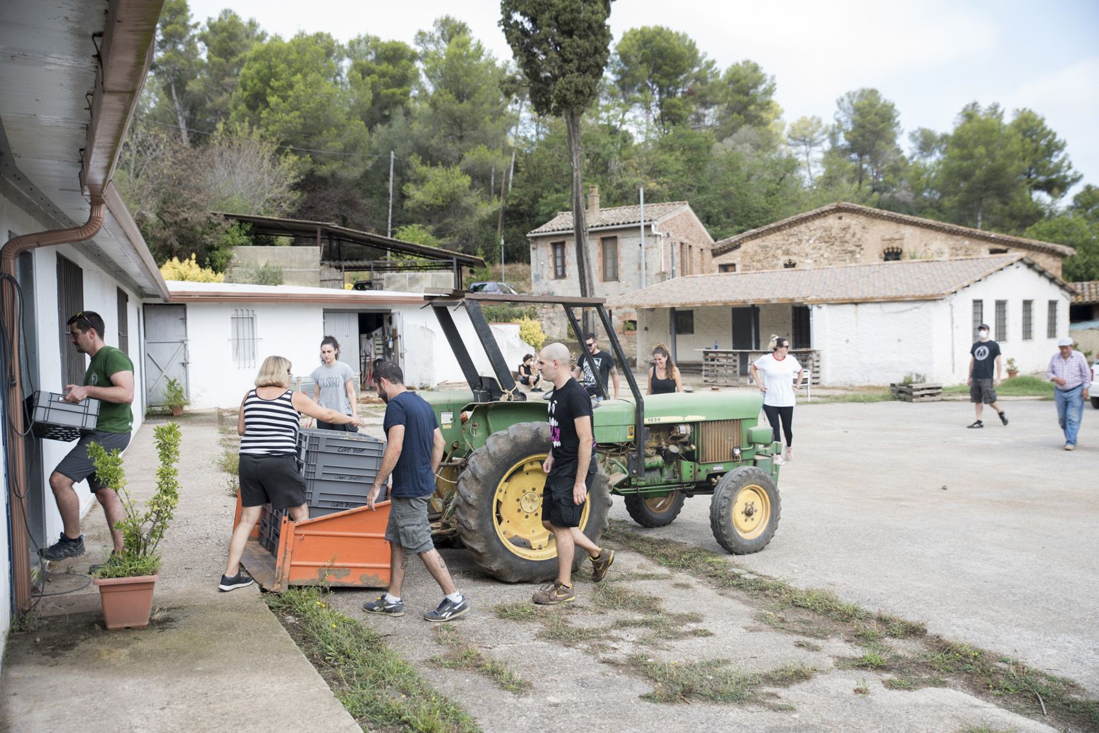 La verema de Can Bell. Foto: Bernat Millet.