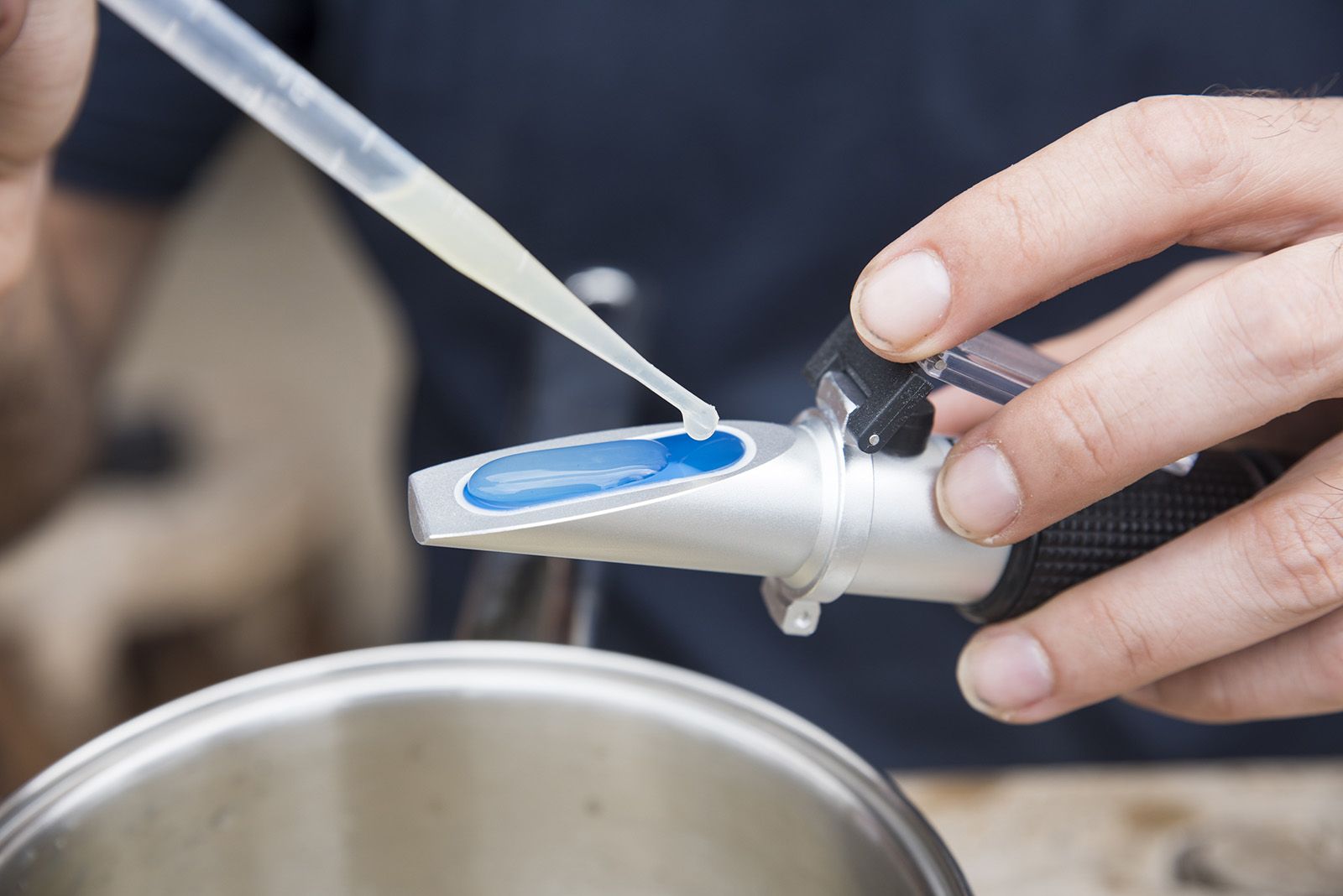 La verema de Can Bell. Foto: Bernat Millet.