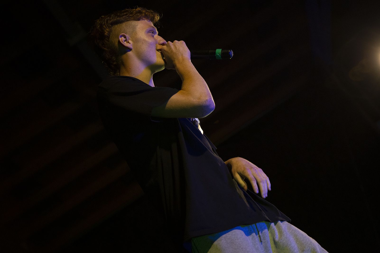 Batalla de galls i gallines a la FM Les Planes. FOTO: Anna Bassa