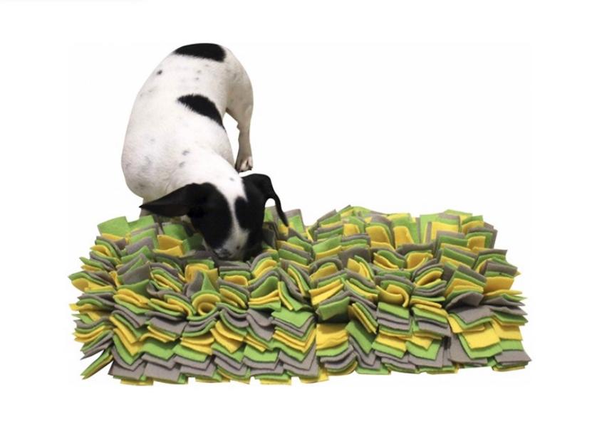 Les catifes olfactives per gossos ofereixen molts avantatges. FOTO: Cedida