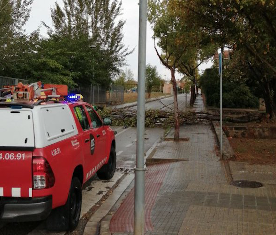 Un arbre caigut a Sant Cugat. FOTO: Bombers