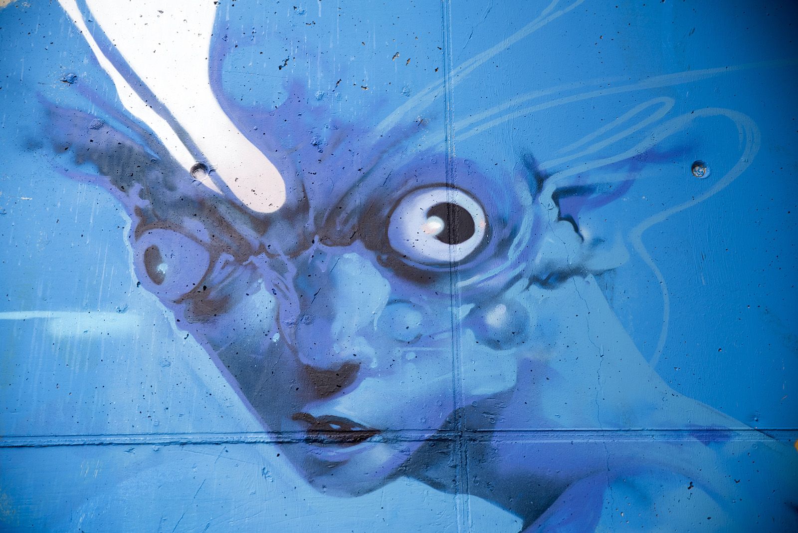 Bridge jam. Foto: Bernat Millet.