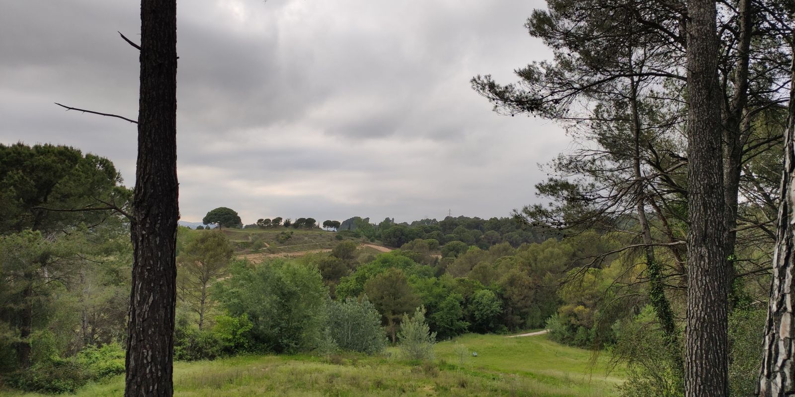 Moltes persones fan servir els terrenys del camp de golf per passejar, treure el gos o fes esport. FOTO: Núria Hueso