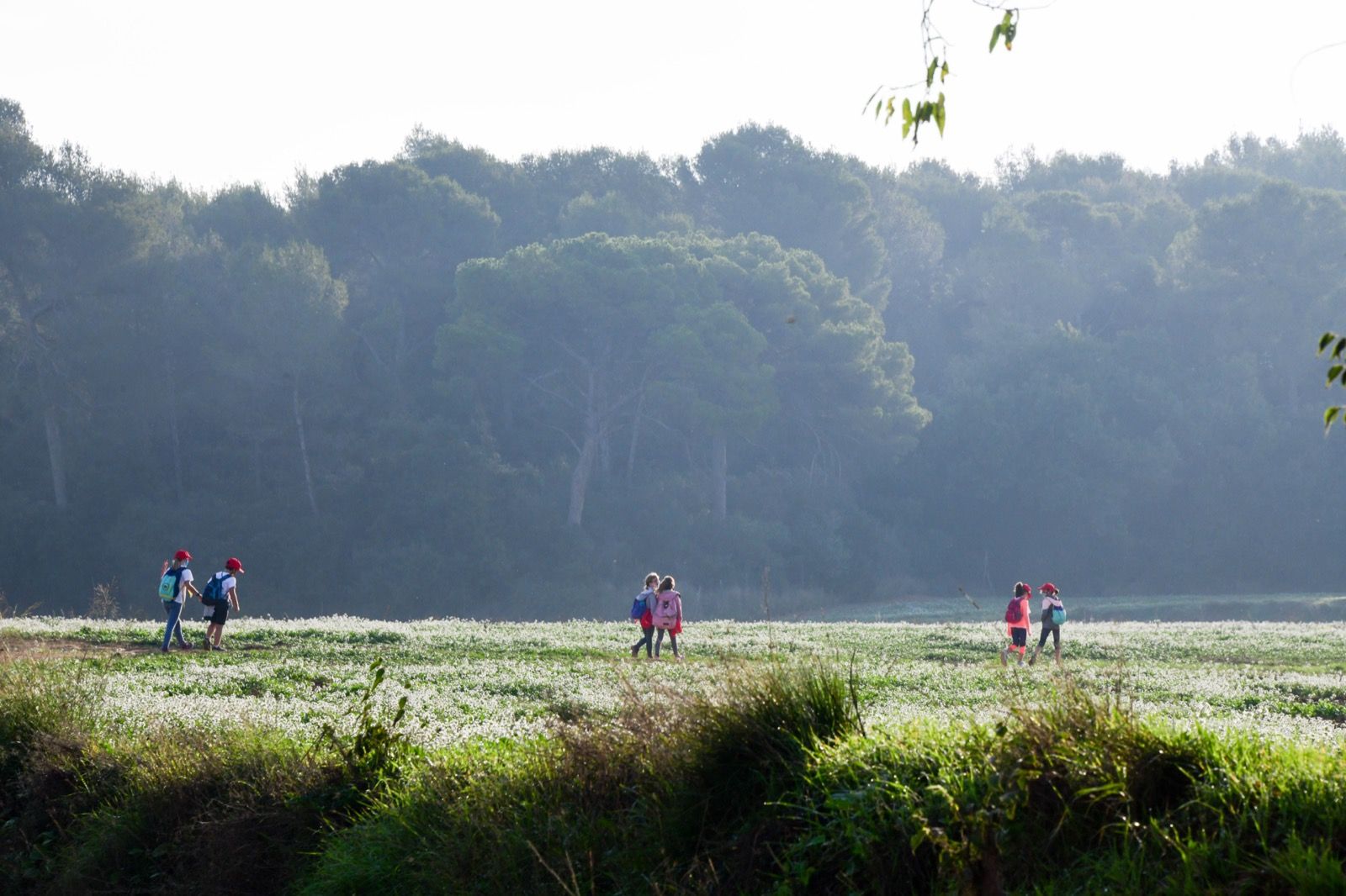 62a Marxa Infantil de Sant Cugat. Foto: Jordi Garcia