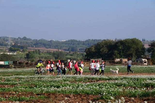 62a Marxa Infantil de Sant Cugat. Foto: Jordi Garcia