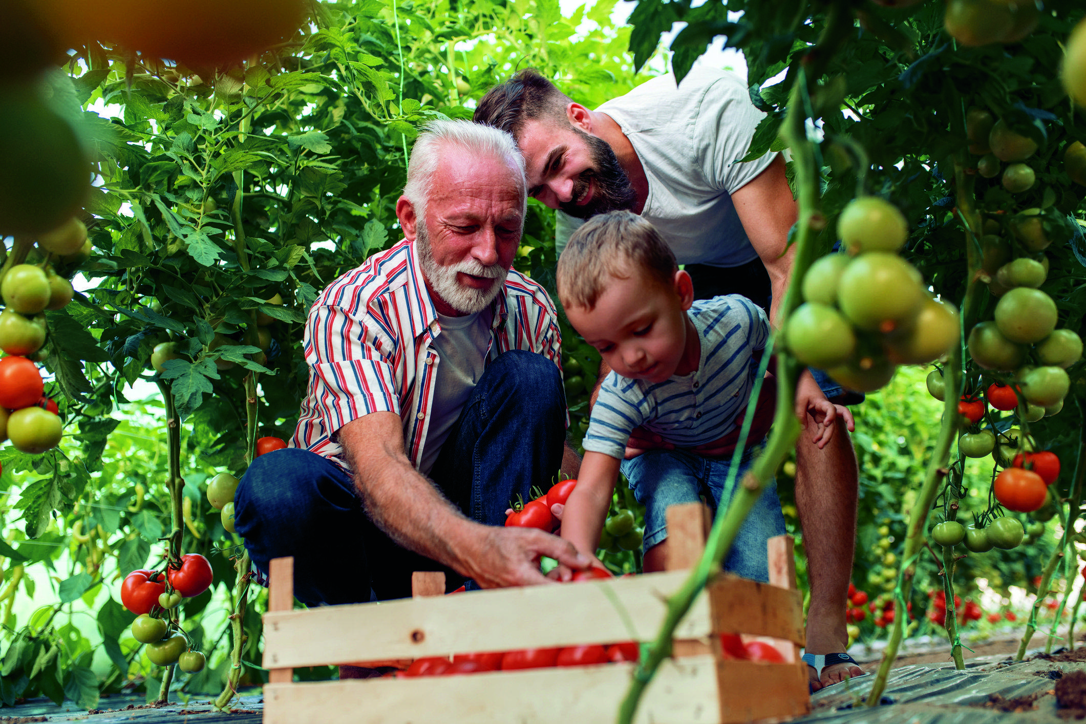 Envelliment actiu. FOTO: istock.com