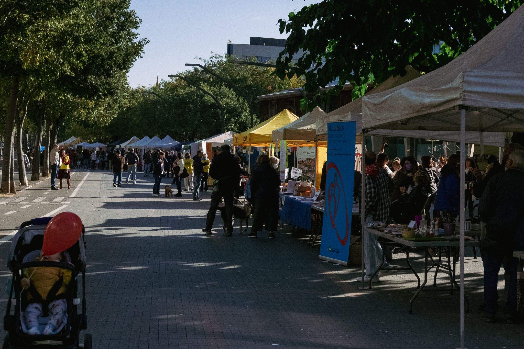 Fira d’Entitats a la Rambla del Celler. FOTO: Ale Gómez