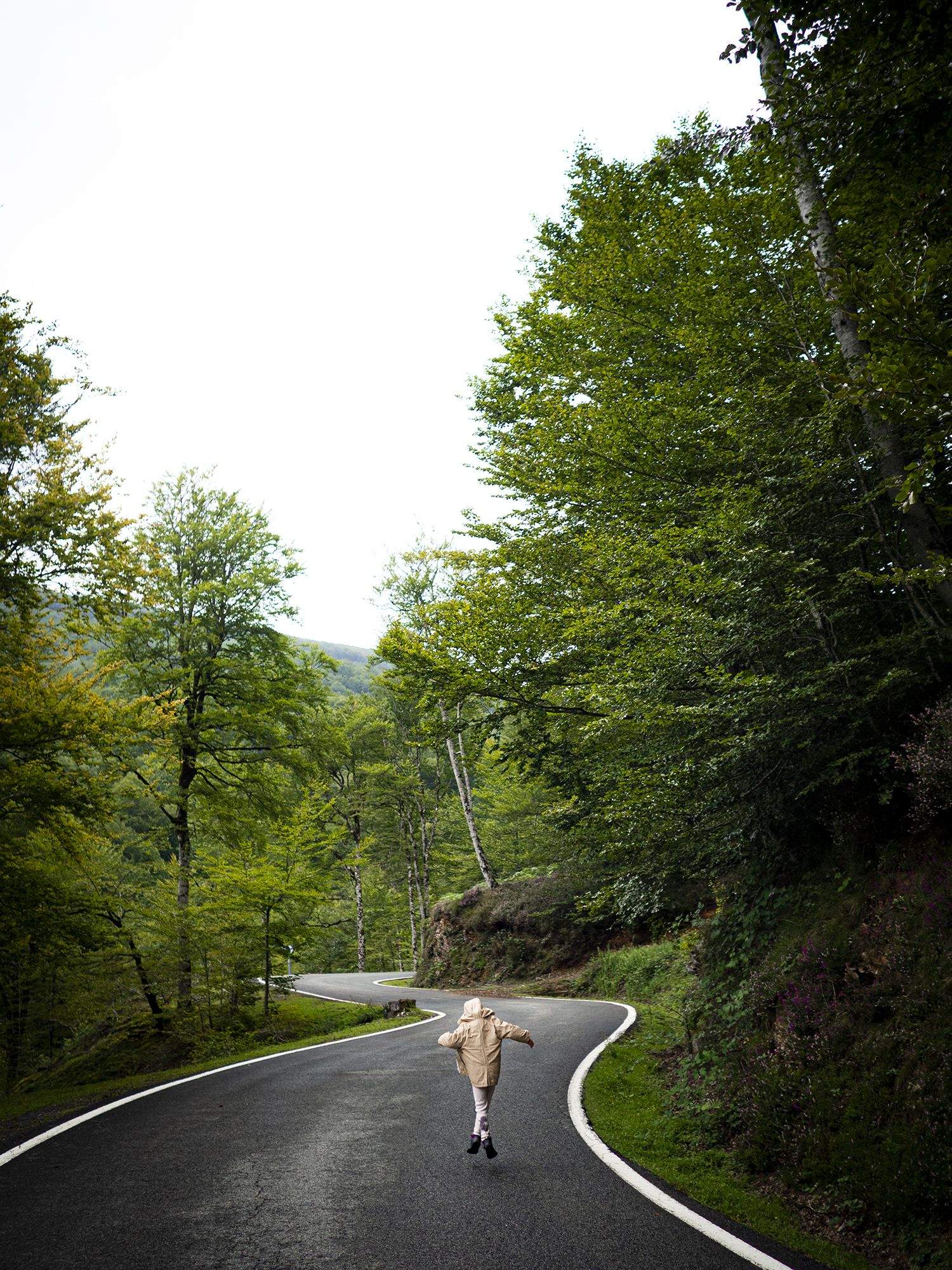 5è Premi WEB. Quinto Real, Navarra. FOTO: Pablo Pelach Alonso
