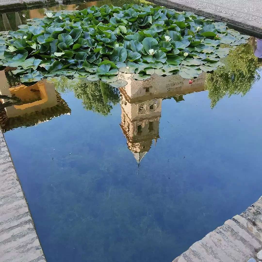@analara4448  -  Reflexes, Alhambra, Granada  