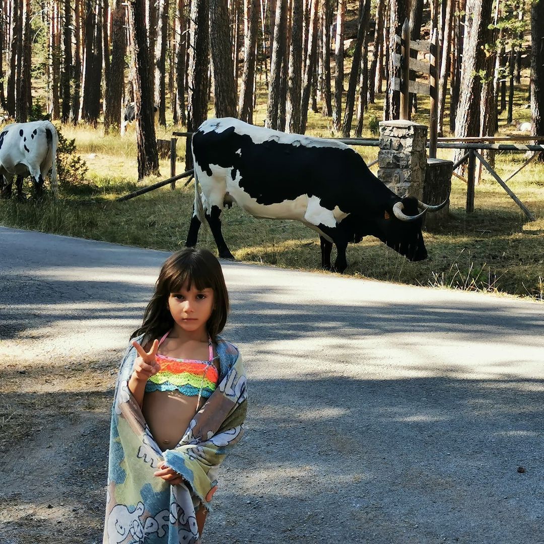 @escolairene - Las Vacas y yo 