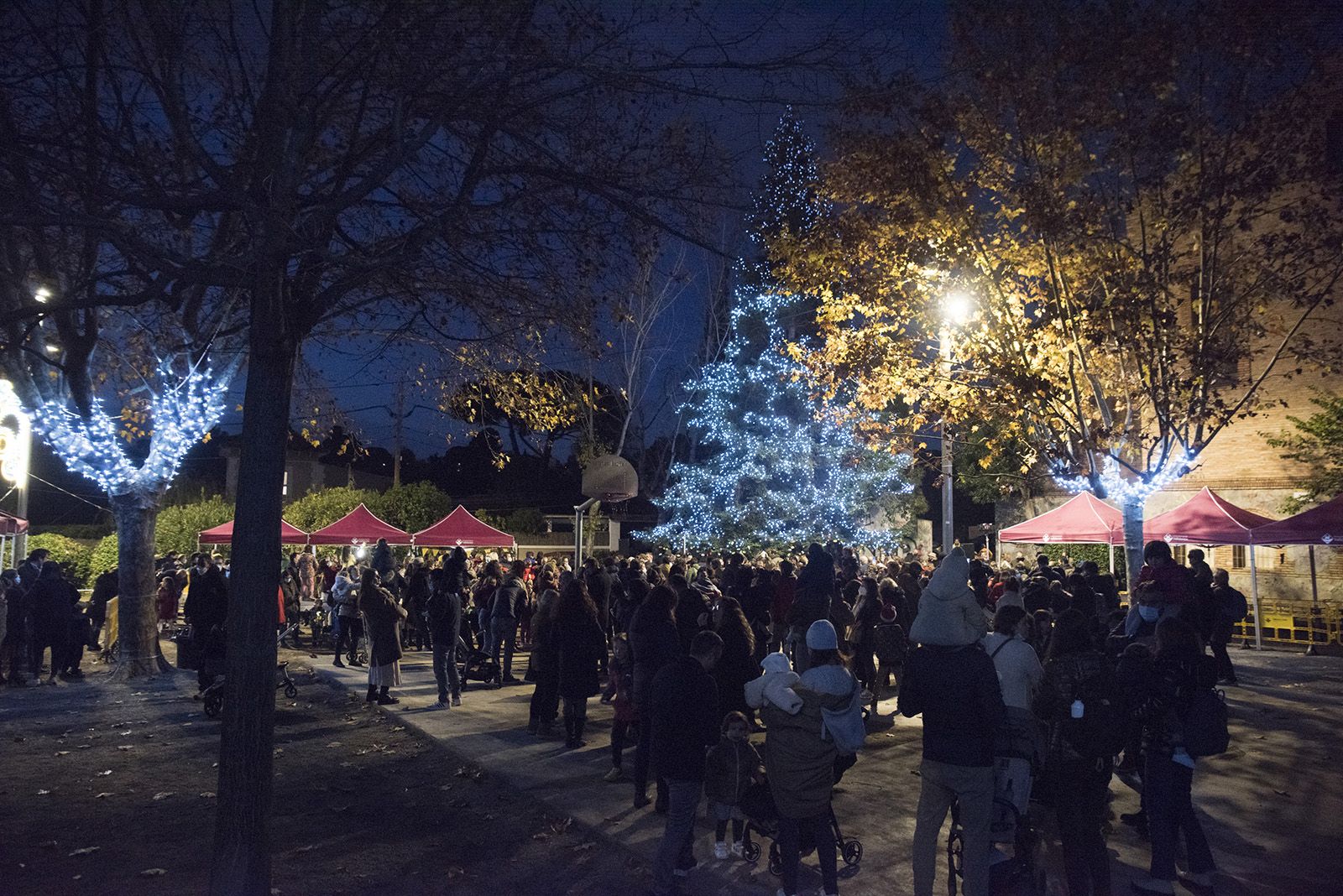 Encesa de llums de Nadal de Valldoreix. Foto: Bernat Millet.