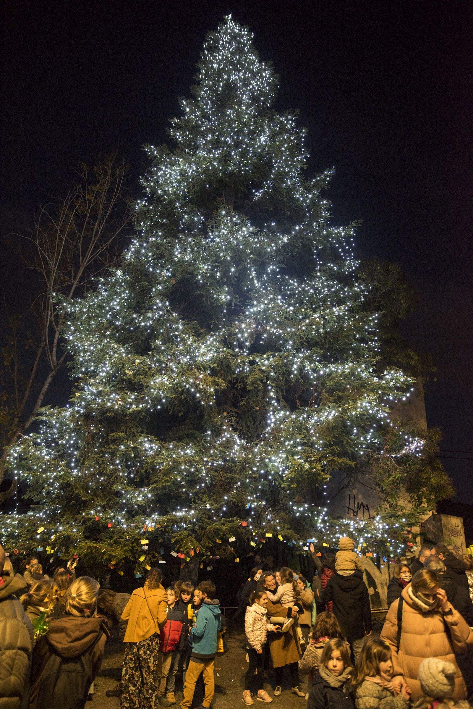 Encesa de llums de Nadal de Valldoreix. Foto: Bernat Millet.