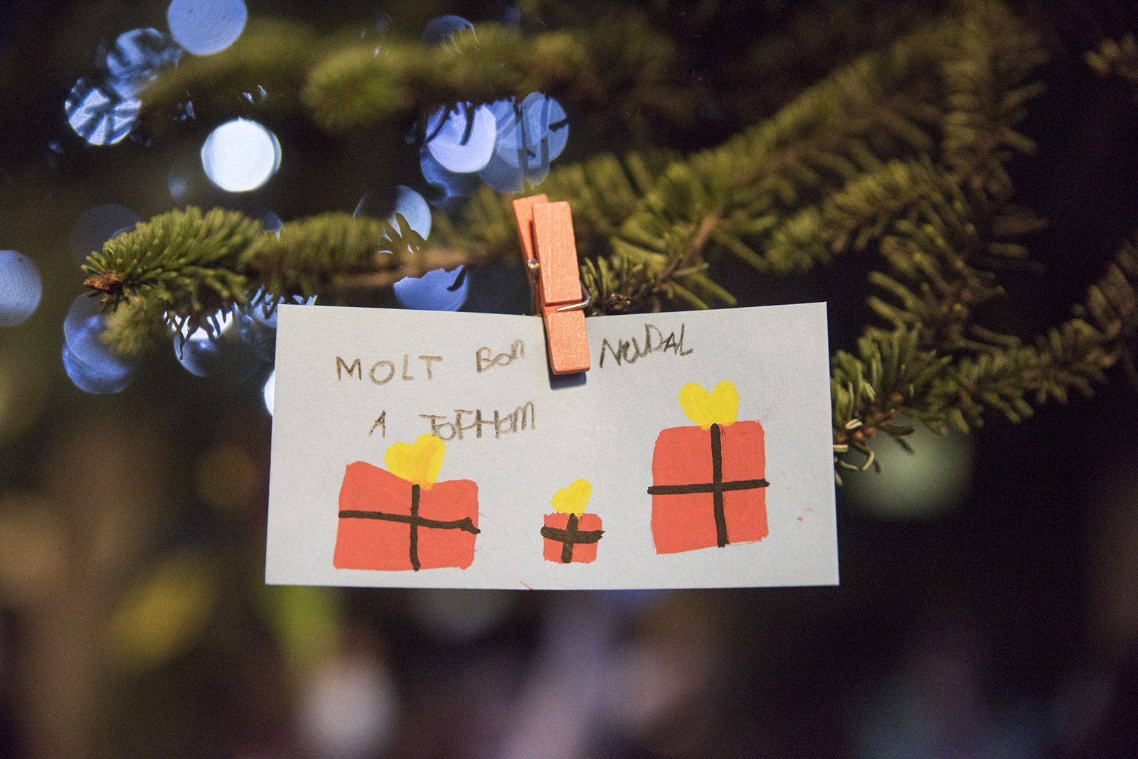 Encesa de llums de Nadal de Valldoreix. Foto: Bernat Millet.