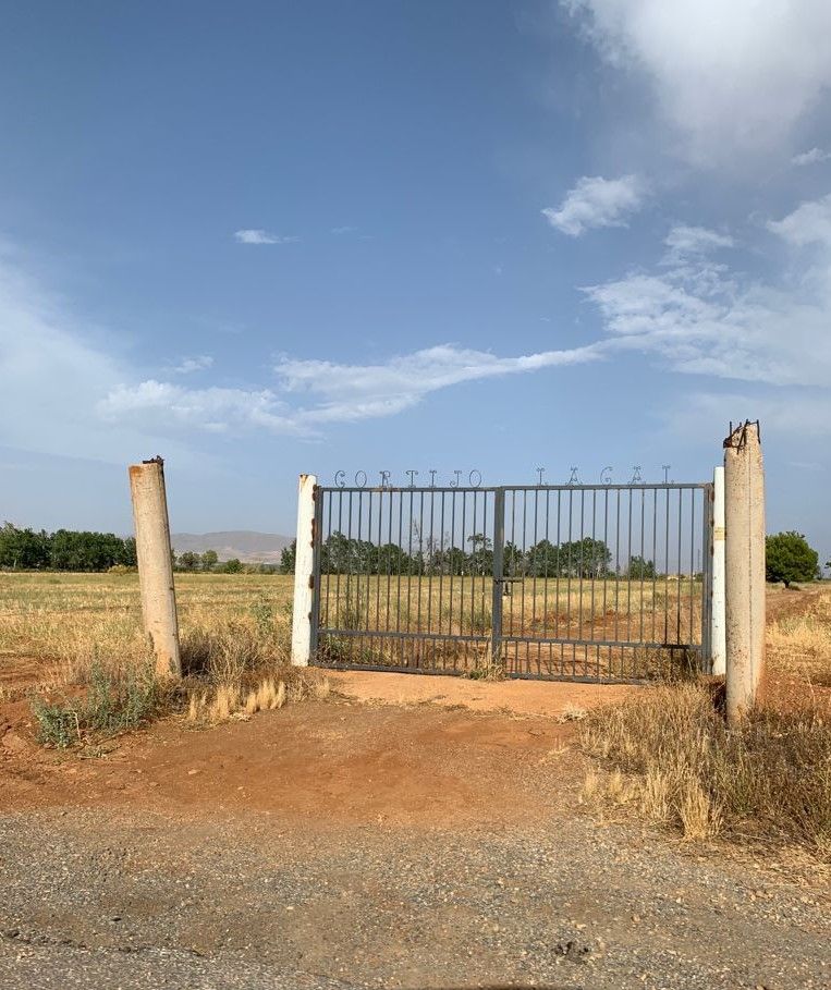 Accés tancat. Carretera de Guadix a Jerez del Marquesado (Granada) - Cristina Ruiz Pe