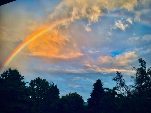 Arc de Sant Marti Vernon, USA - Anna Rovira