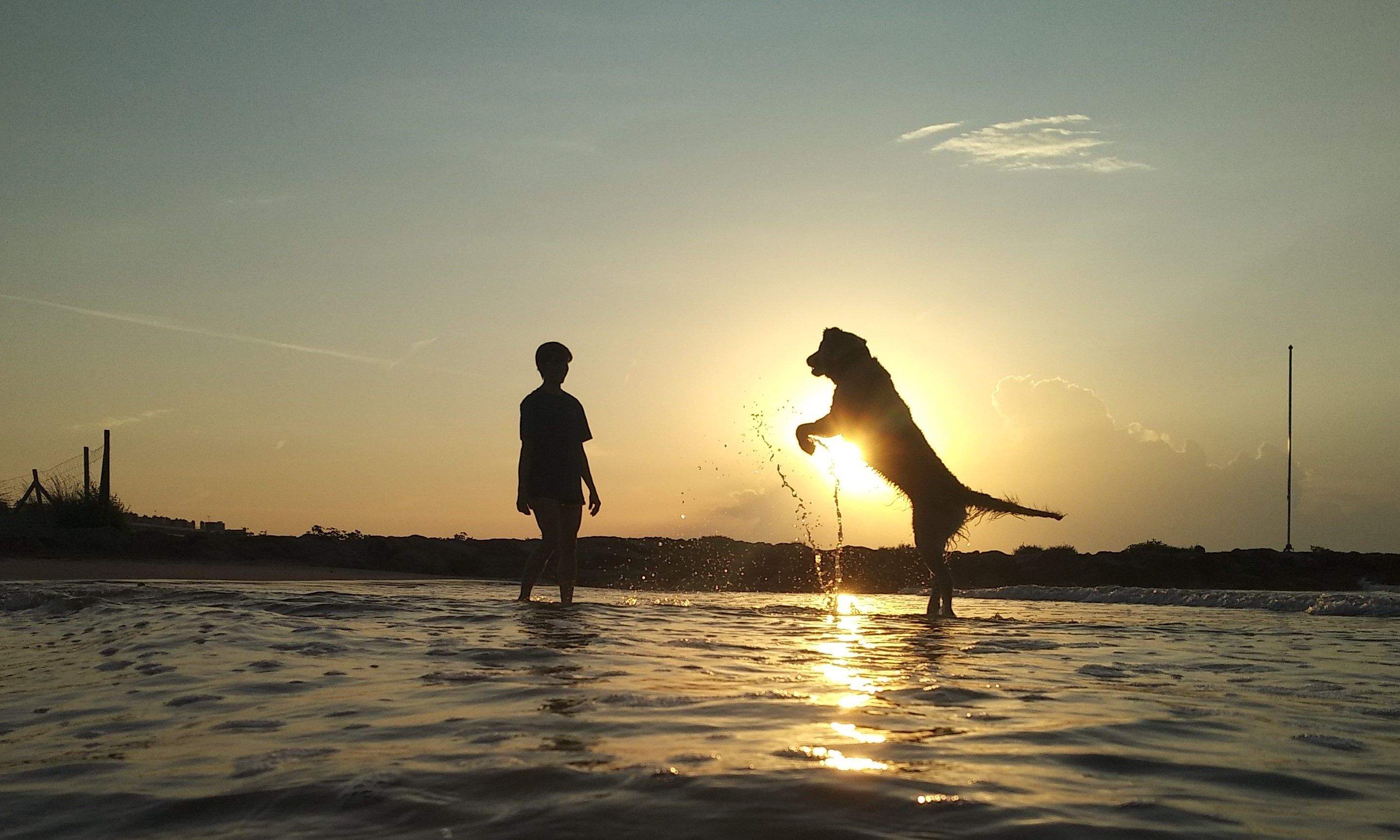 Cada matí amb tu es fa de dia. Cubelles - Xavi Monfort Guardia