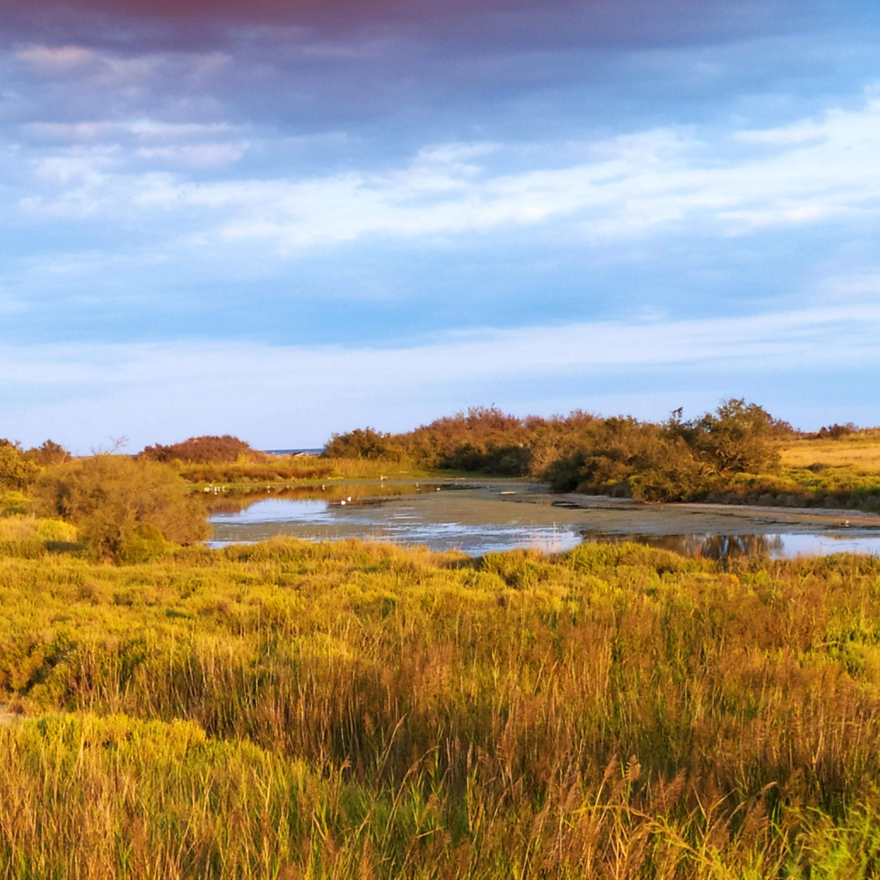 Camí a la gola del Ter. L'Estartit - Arancha Sanz Aisa