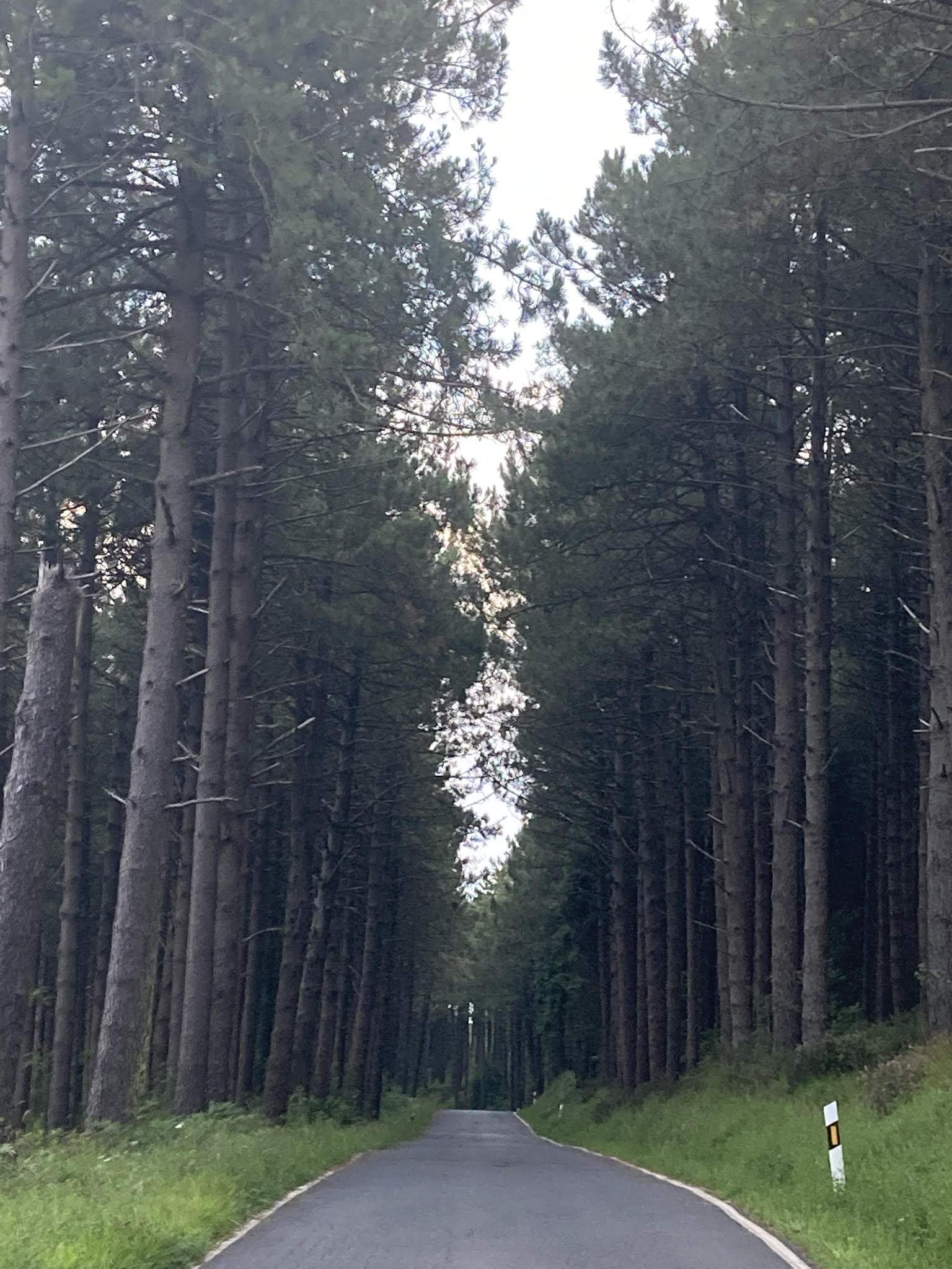 Cami sense fi .Bermeo Alto de Sollube - Ester Ulloa 