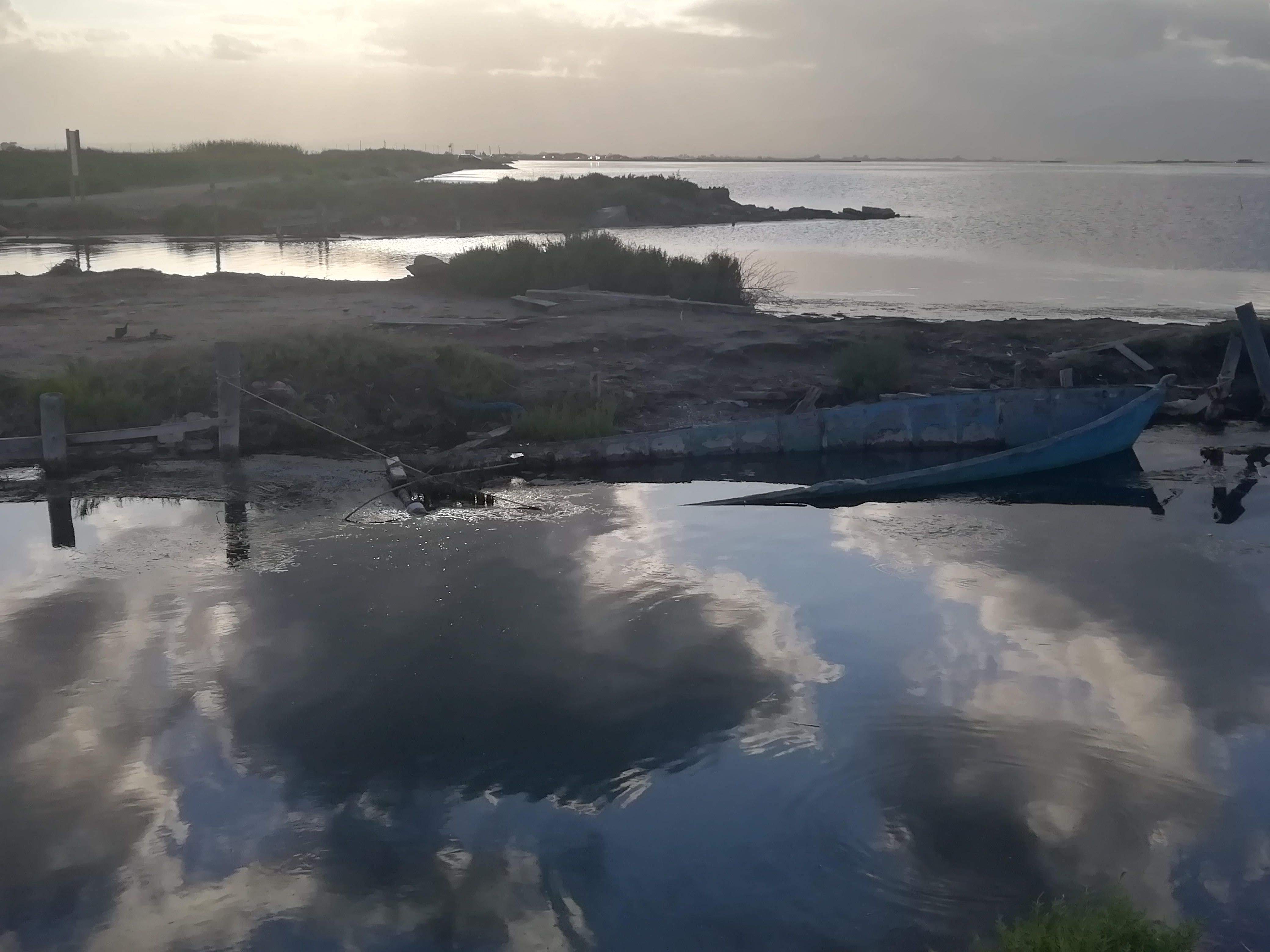 Cementiri de barques. Badia del Fangar - Anna Bastida Mármol 
