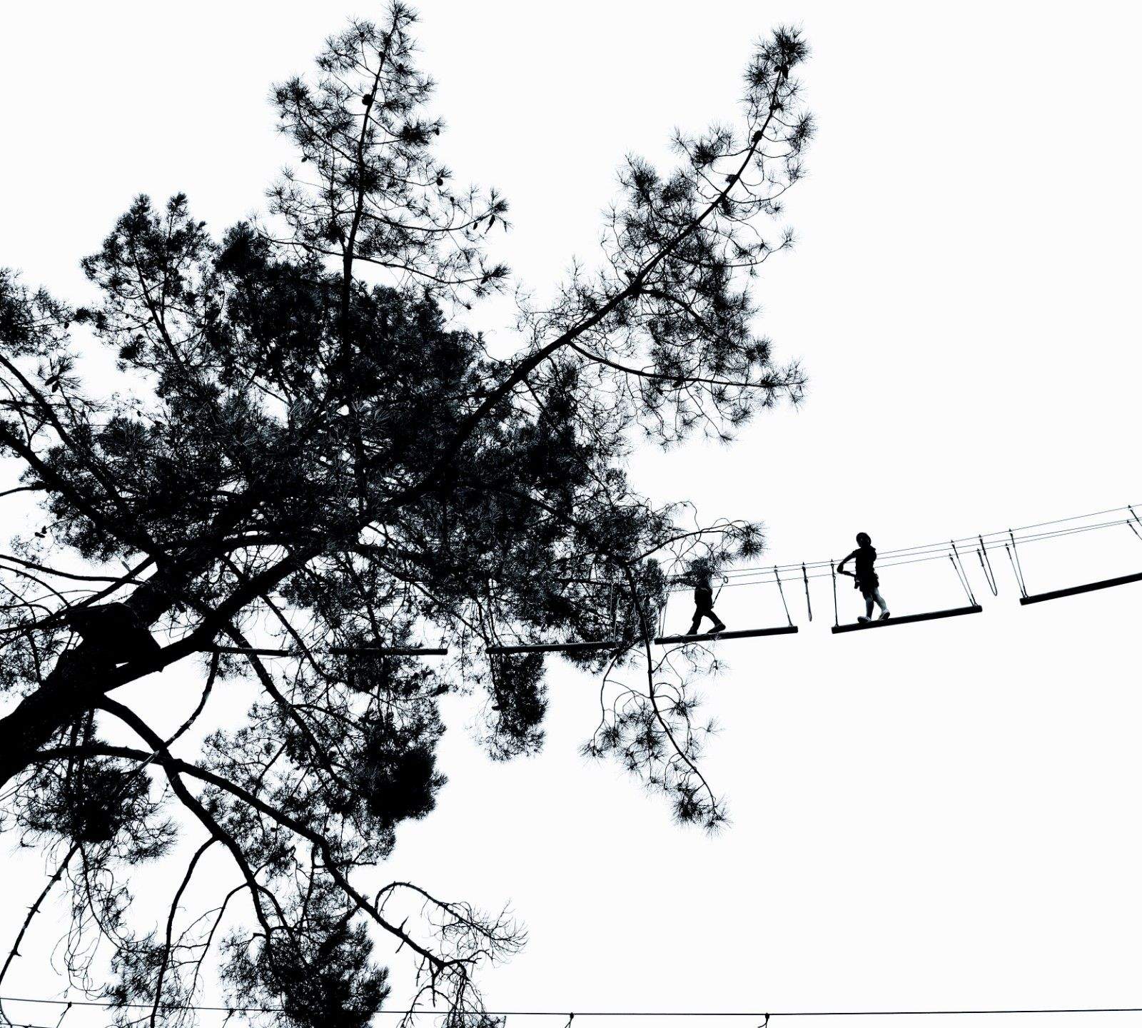 Des del cel Bretanya francesa. Natàlia Quintana