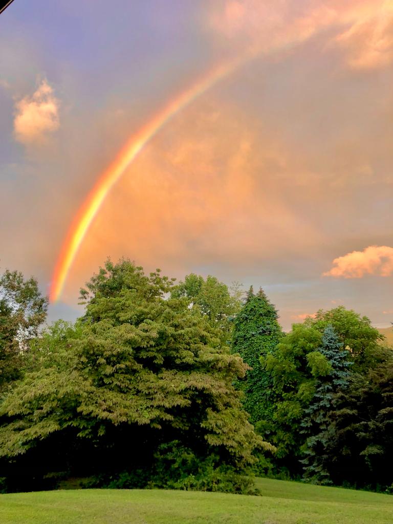 Despres de la tormenta, Vernon, USA - Anna Rovira