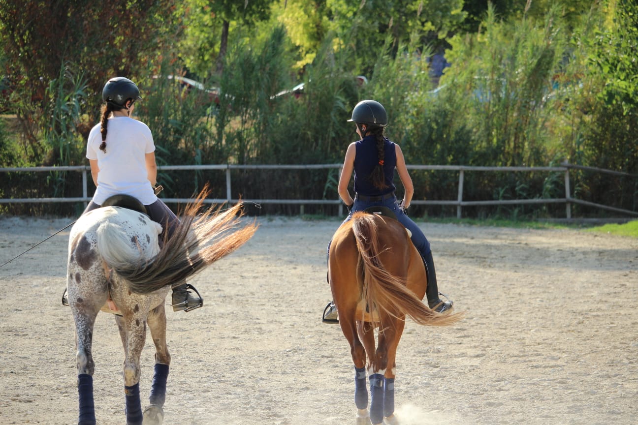 El dia a dia d’una amazona. Hípica Can Caldés - Paula Moldes de la Rosa