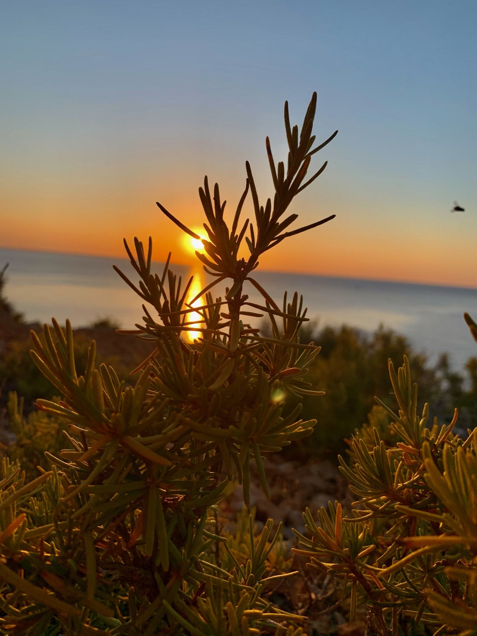 En un mar de somnis Sant Joan de Labritja Mireia Nieto Benito