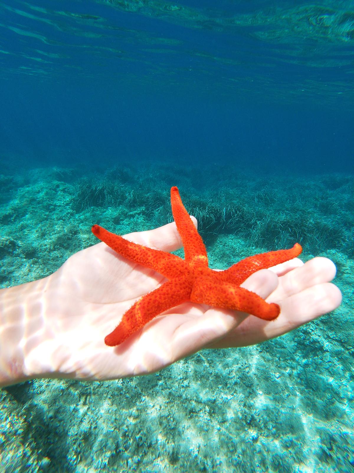 Estelas de Mar, Menorca - Clara de Uribe Gil