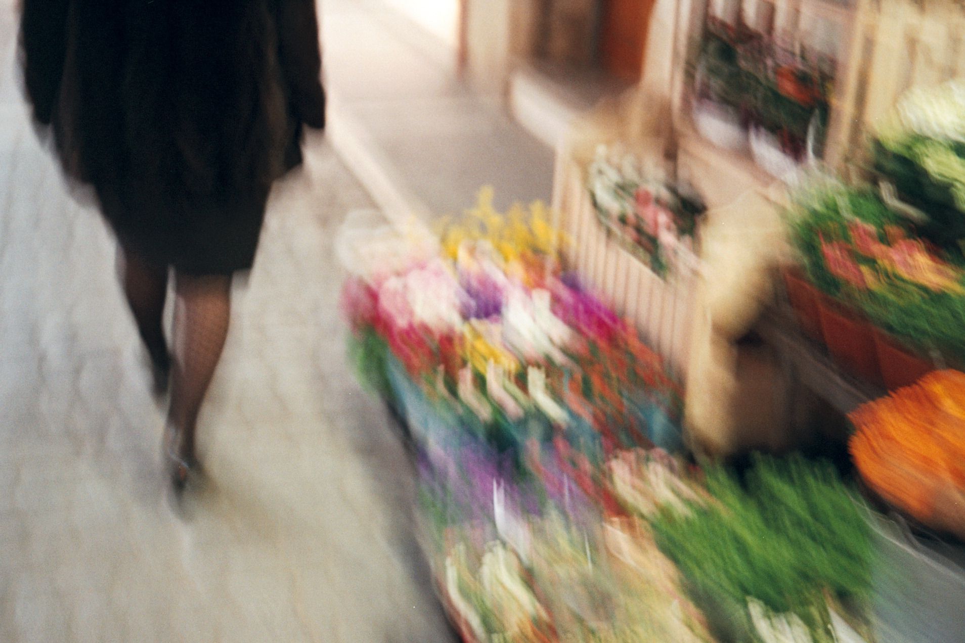 Flors al carrer en 35mm. Carrer Santa Maria. Nadine Garcia