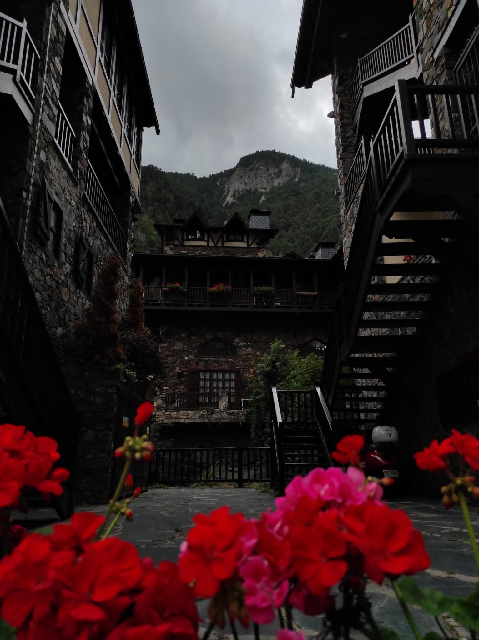 Flors del Pirineu. Arinsal. Andorra. Laia Deltell Baena