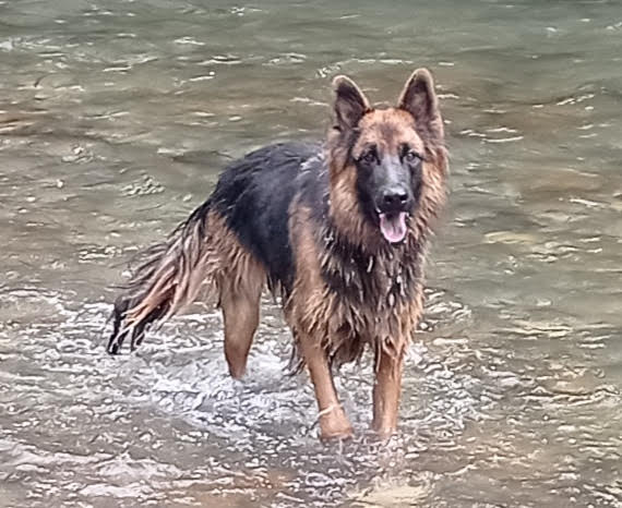 Gaudint del riu Riu Ter, Camprodon - Anna Otero