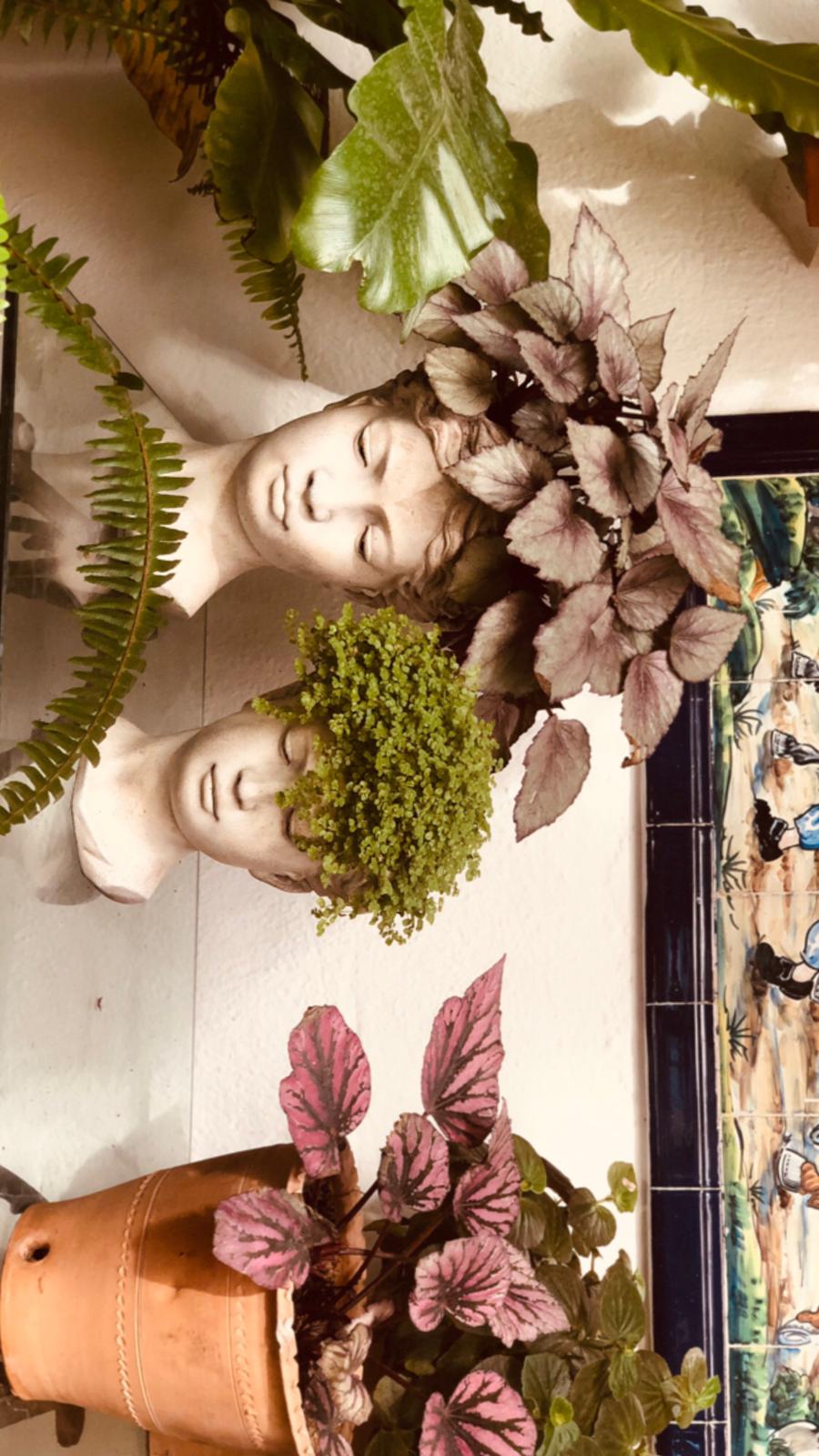 Mi cabeza está que echa…. Córdoba - Kyra Caspari