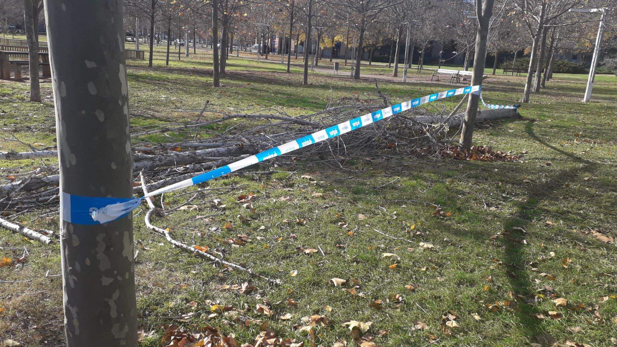 Les ventades fan volar el mobiliari urbà. FOTO: @mireiaingla