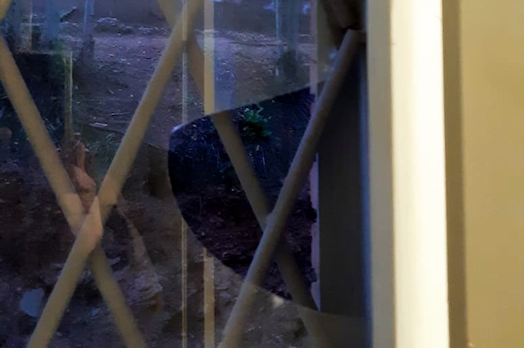 L'EMD de Valldoreix ha denunciat una bretolada a les xarxes socials. FOTO: @EMDValldoreix