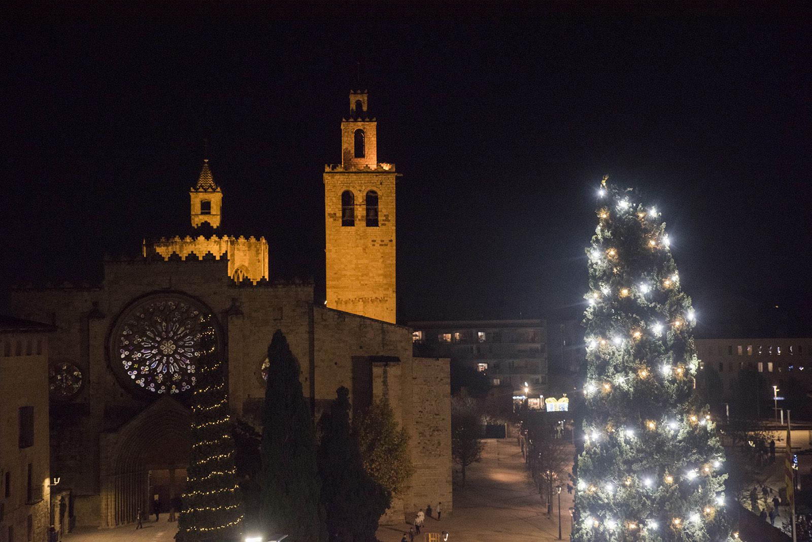 Fira de Nadal de Sant Cugat. Foto. Bernat Millet.