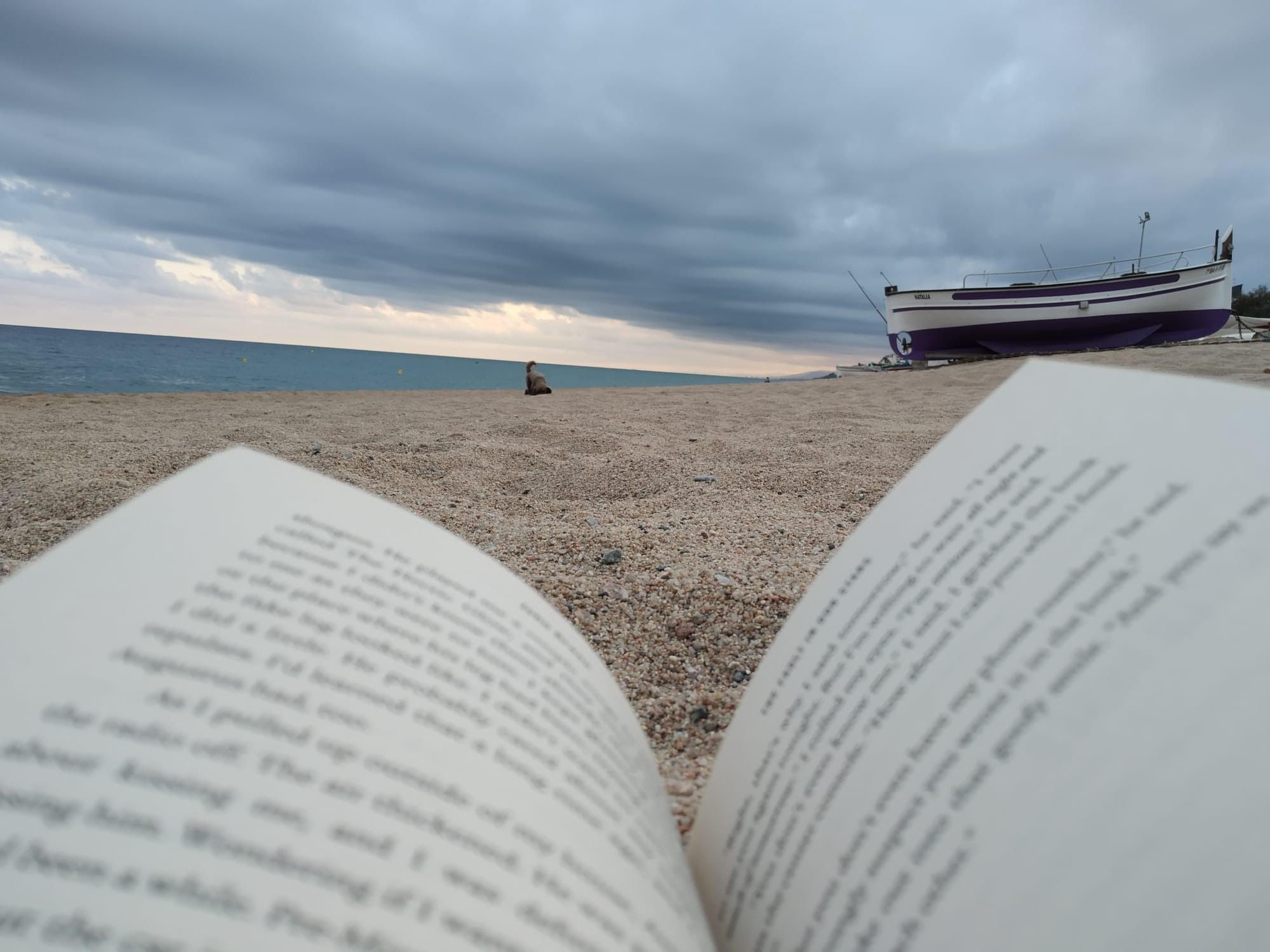 Lectura en el mar. Pineda de Mar, Maresme - Josep Deltell Cano