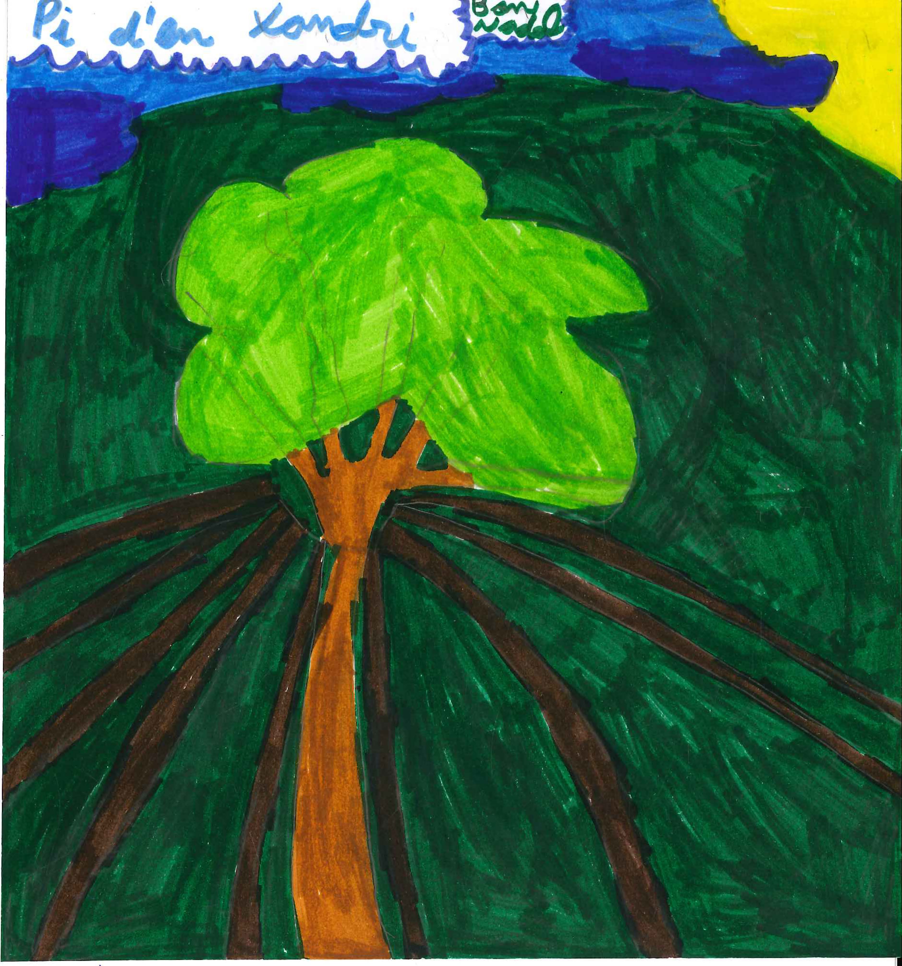 Les postals participants en el concurs del TOT de l'Escola Olivera 