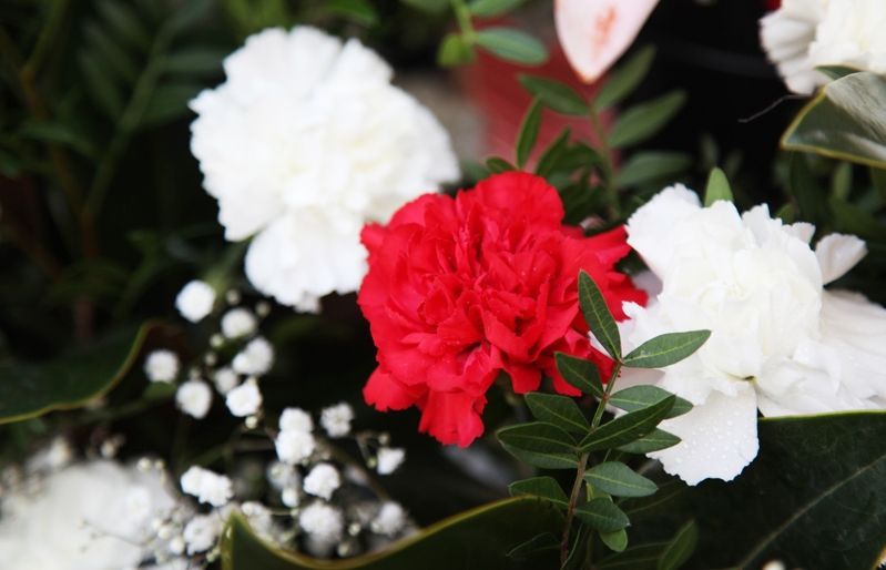 Flors per Tot Sants. FOTO: Arxiu