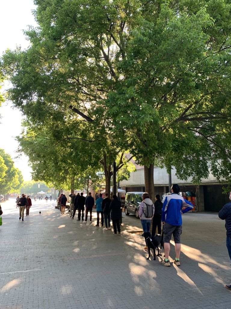 Cues per comprar roses i mantenir la distància de seguretat per Sant Jordi
