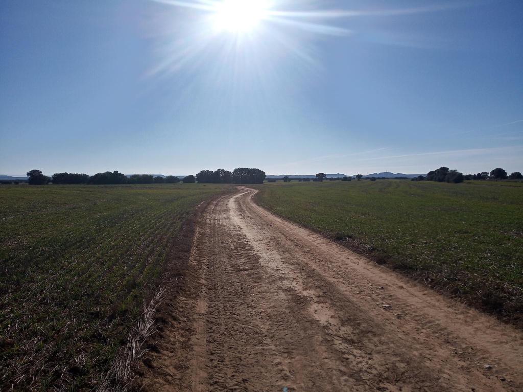 Tram Barcelona- Santa Cilia (Camí català-aragonès) - FOTO: Berta Baquer.