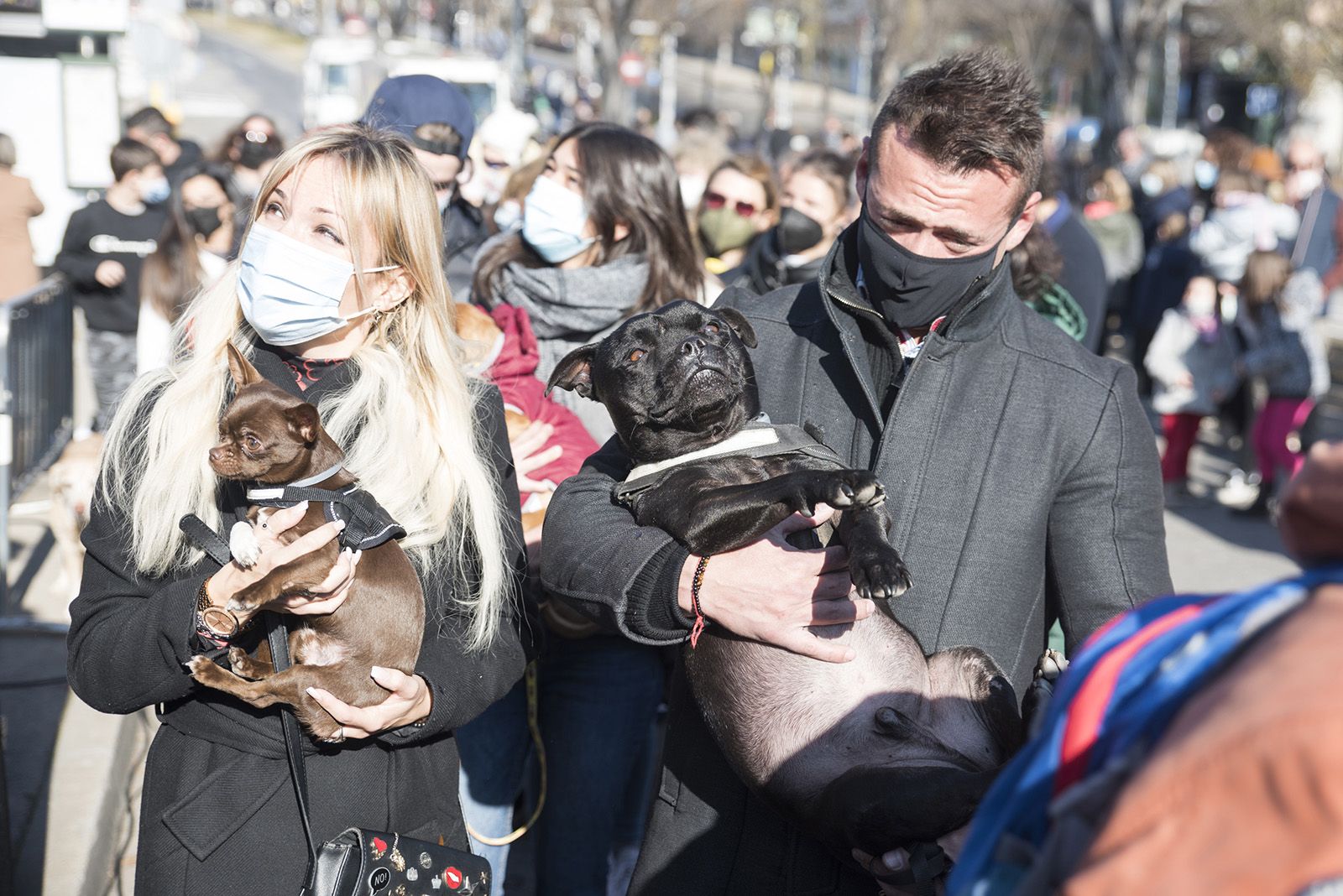Benedicció de cavalleries al pg. de Francesc MaciàA càrrec de la Parròquia de Sant Pere d’Octavià. Foto: Bernat Millet.