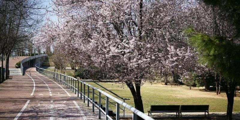 Parc Central. FOTO: Arxiu.