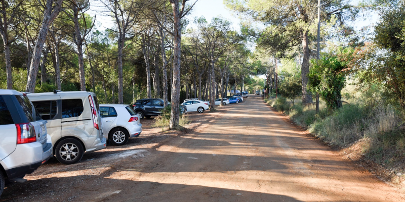 Captura de Pantalla 2022 03 03 a les 13.14.48