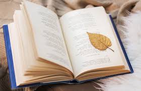 Poemes. FOTO: Cedida.