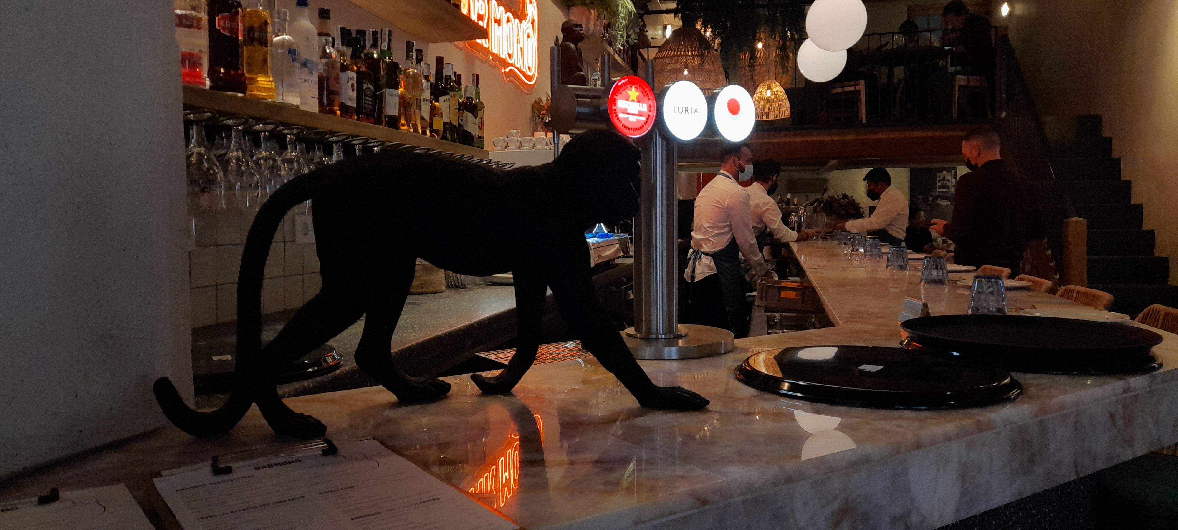 La barra del Bar Mono. FOTO: Cristina Cabasés