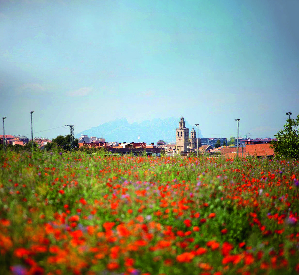 Camps de Collserola amb el Monestir i la ciutat de fons. FOTO: Arxiu del TOT